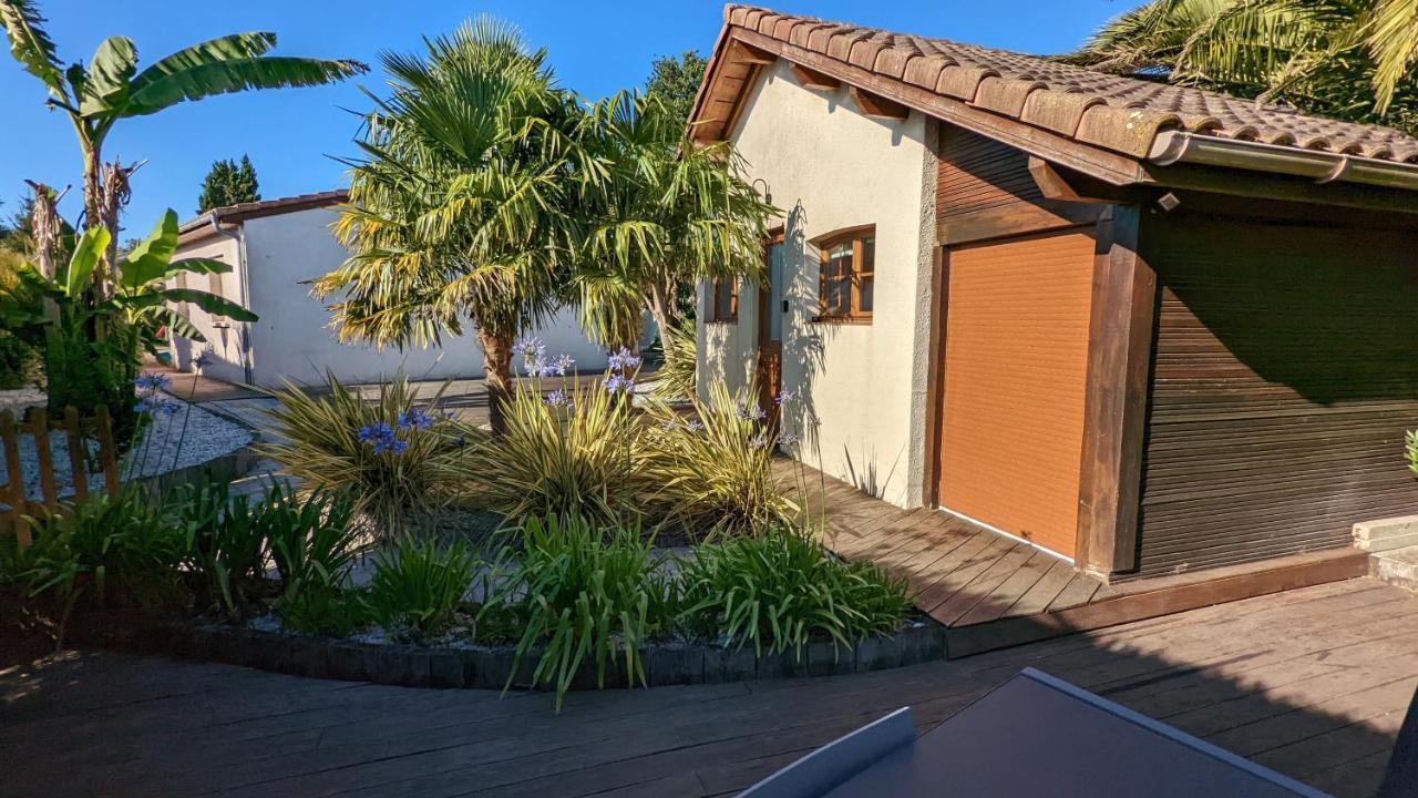 Guest House Au Milieu Des Palmiers Saint-Martin-de-Seignanx 외부 사진