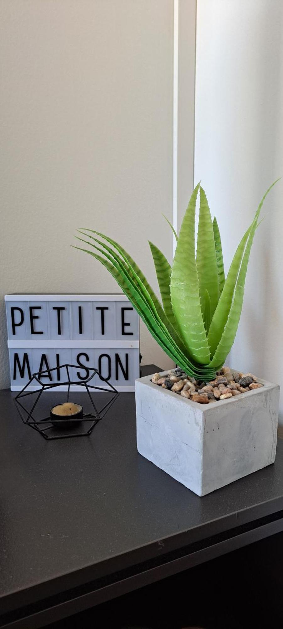 Guest House Au Milieu Des Palmiers Saint-Martin-de-Seignanx 외부 사진